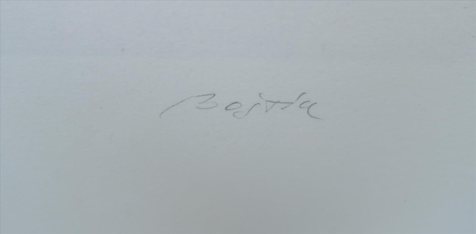 636096493552066054_bostik2.JPG