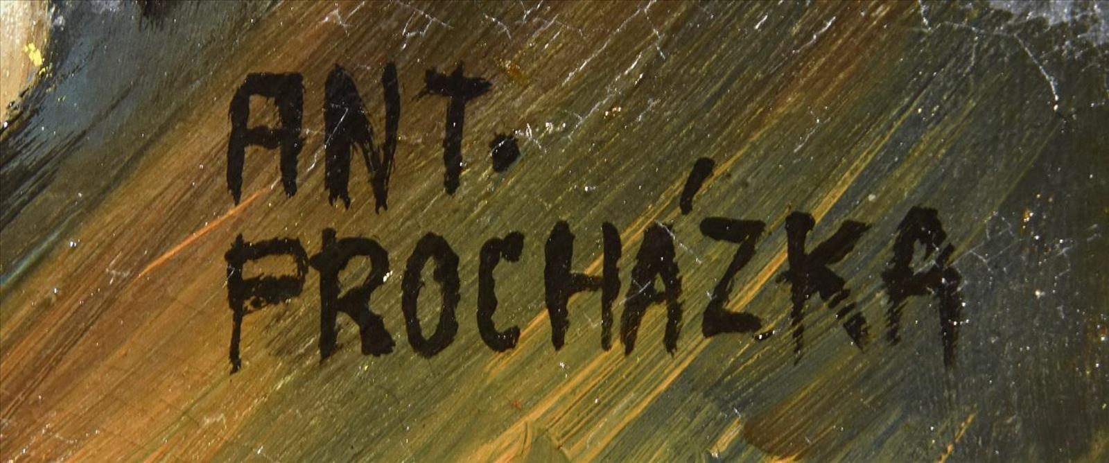 636181023225145342_prochazka1.jpg