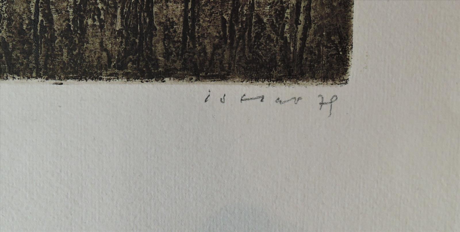 636469404791814012_istler1.JPG