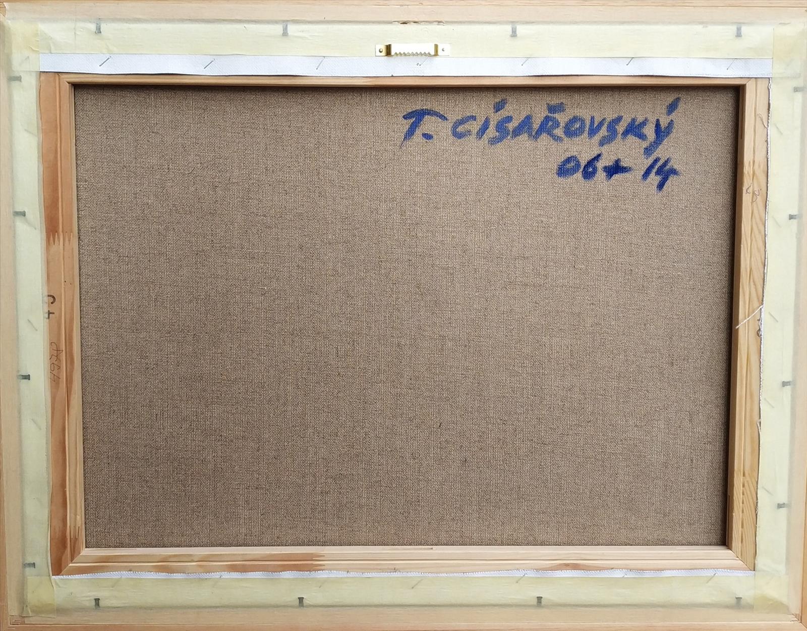 636779746630361555_cisarovsky1.jpg