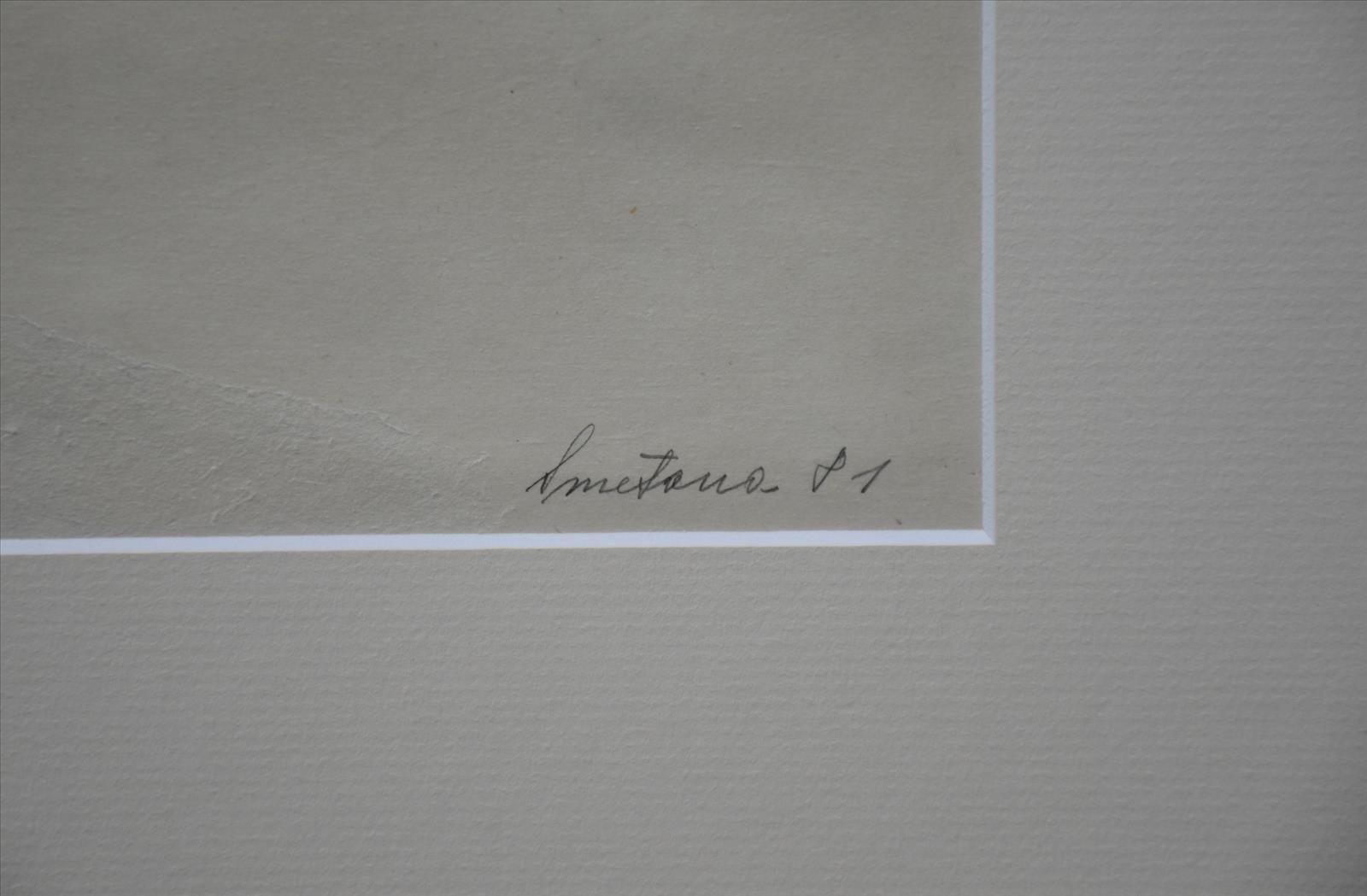 637057025923902007_smetana2.JPG