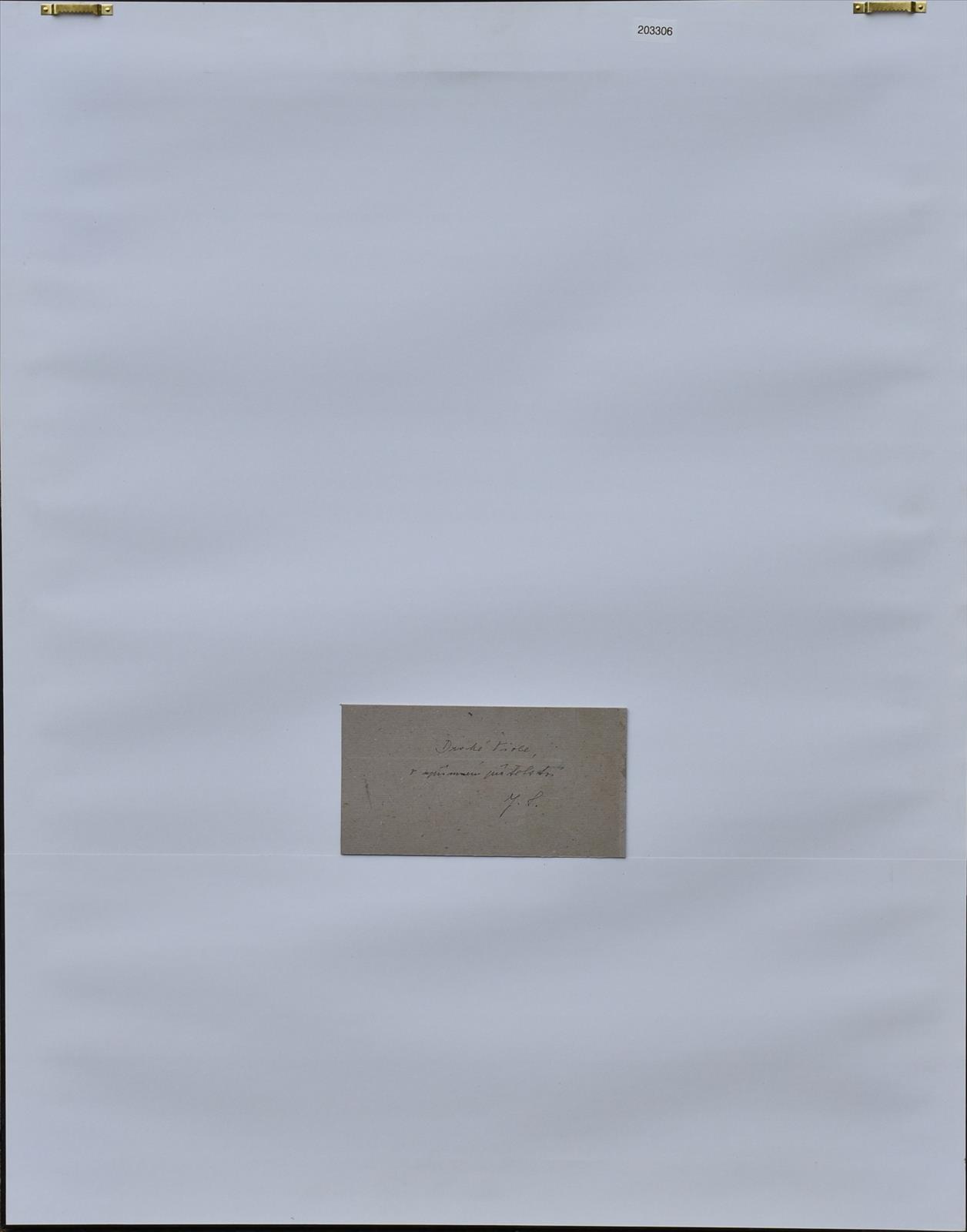 637057025990732439_smetana3.JPG
