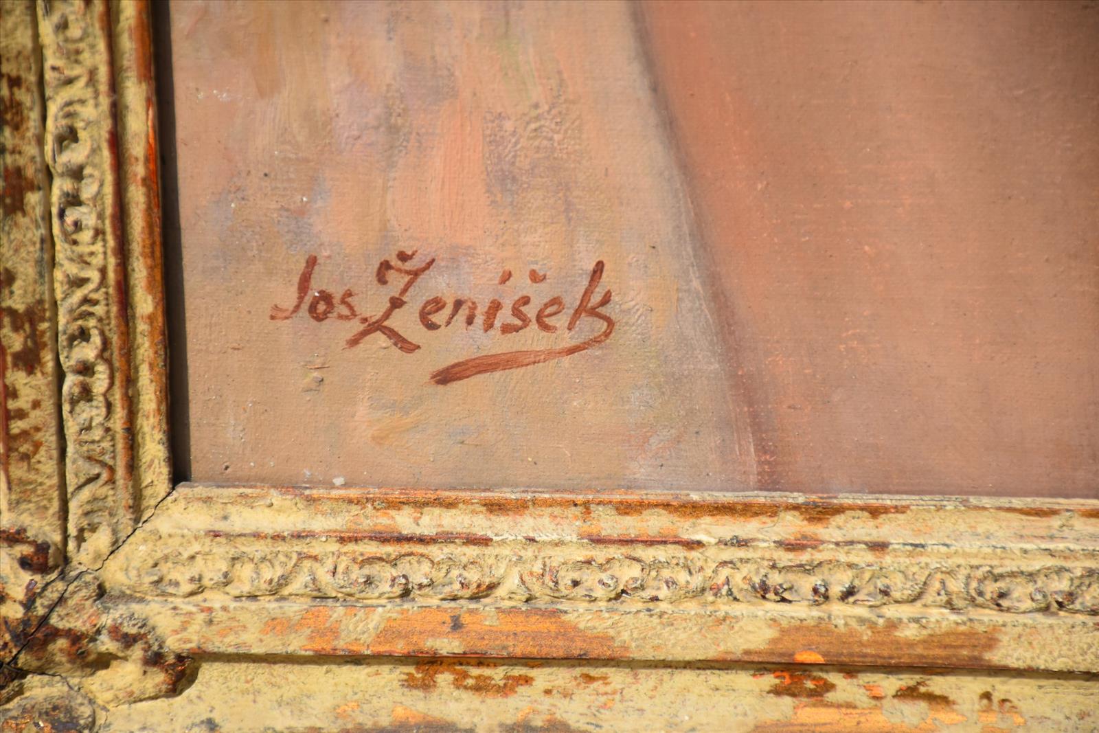 637339655932720229_zenisek2.JPG
