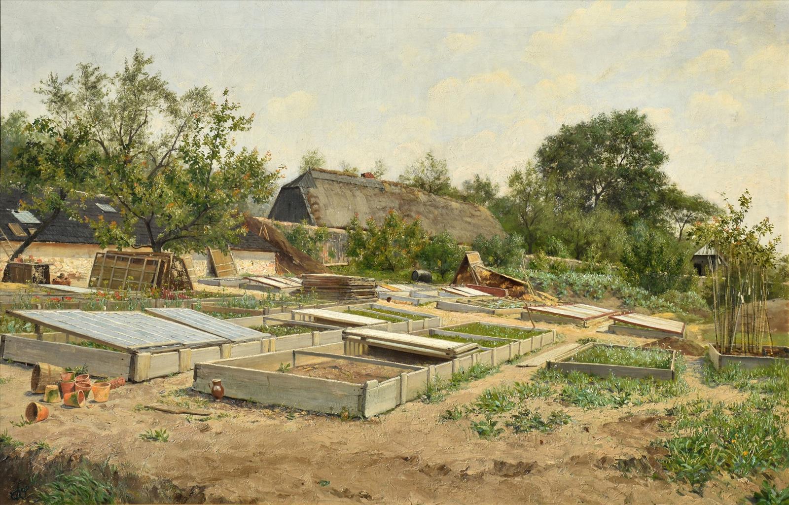 637423273679142421_oliva.jpg
