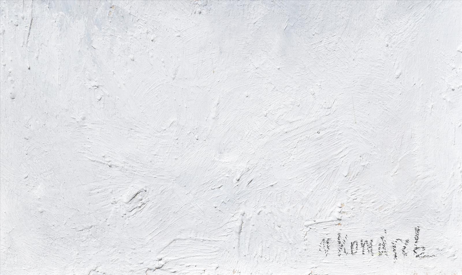 637914360188934848_kom16.JPG