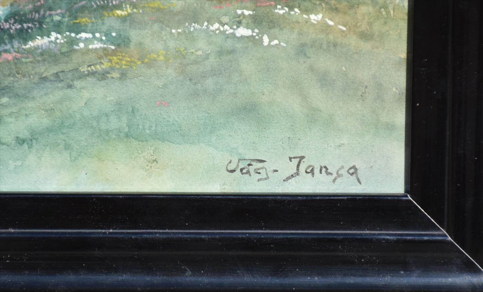 637914388351531046_jansa2.JPG