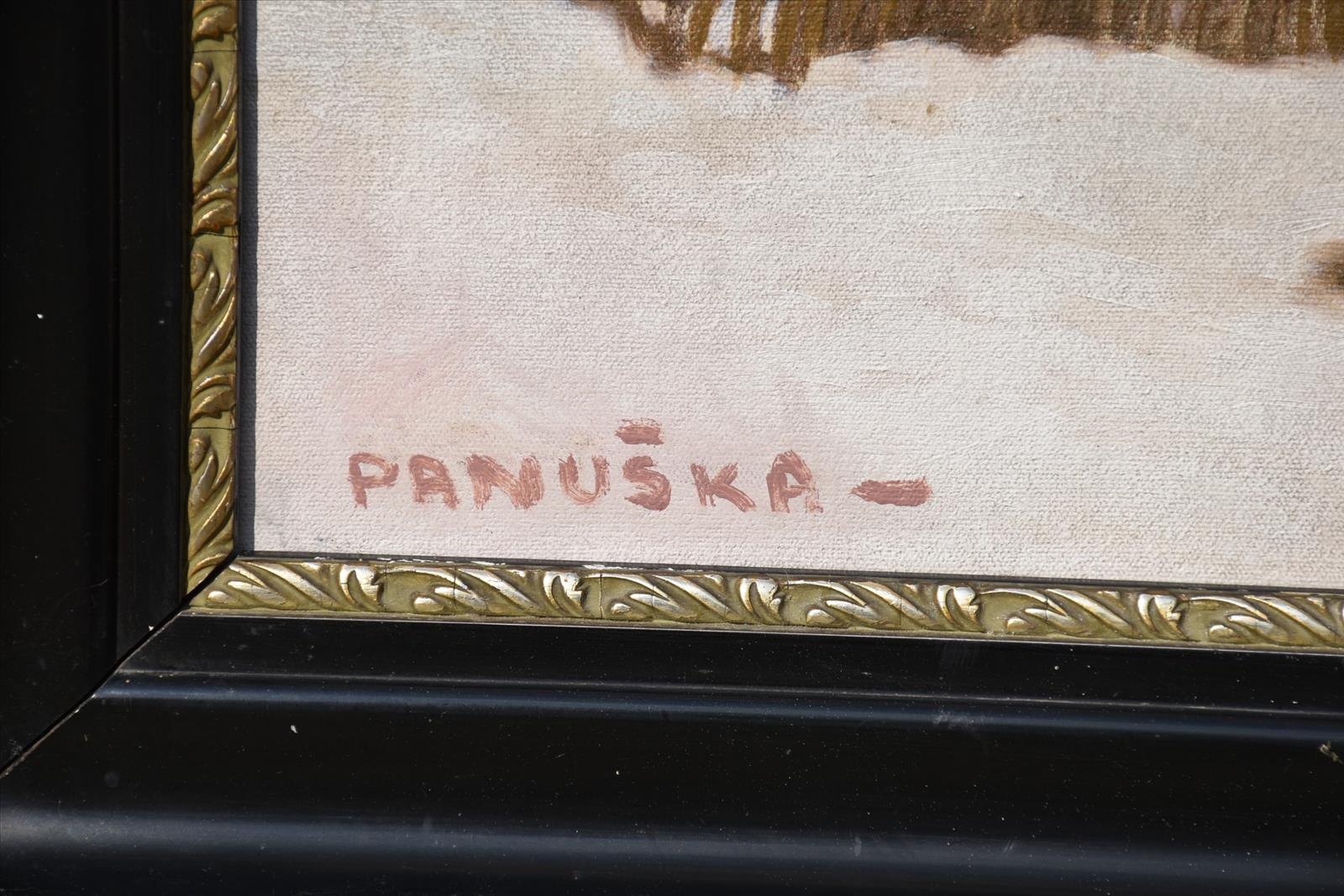 637979771411193286_pan2.JPG