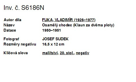 638030736571477153_FUKA_sudek.jpg