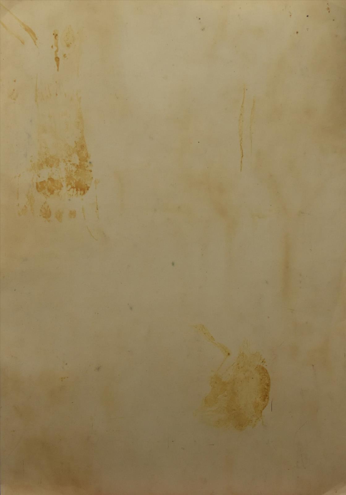 638769457348049777_xx520.JPG