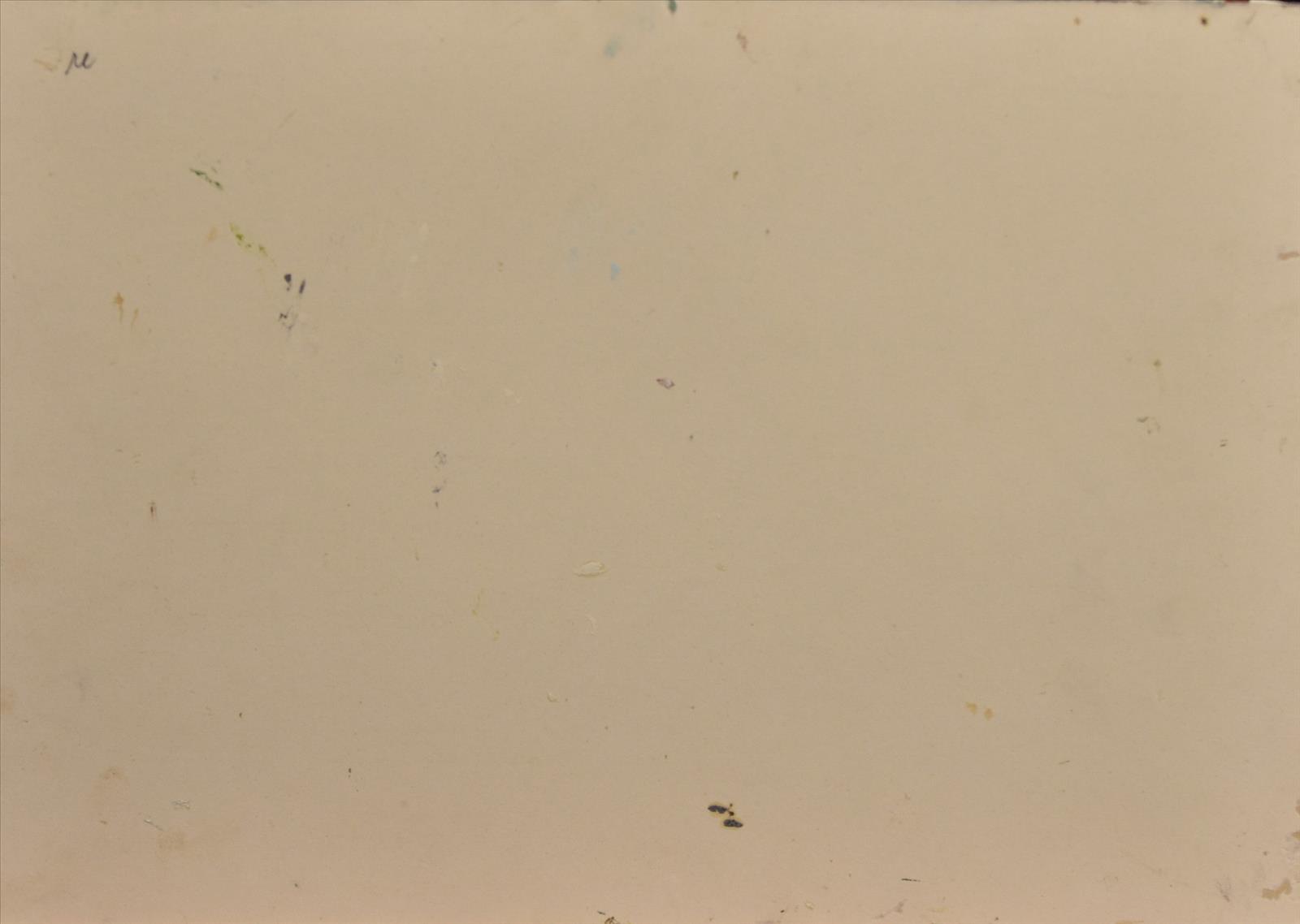 638769469493190595_m2.JPG
