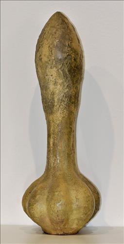 Rostlina